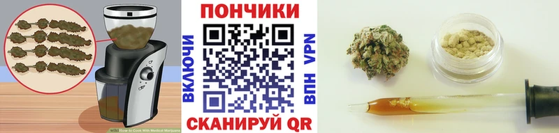 гидра ТОР  купить  сайты  Кущёвская  Еда ТГК конопля 