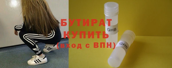 гашик Ельня