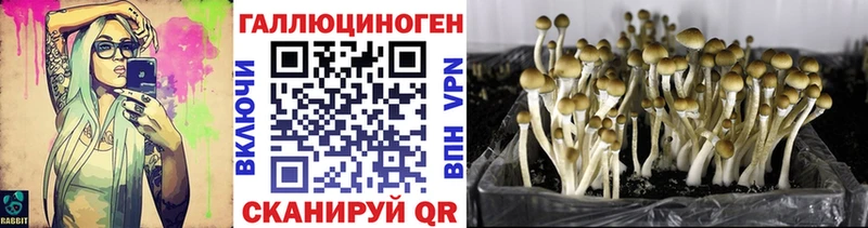 Псилоцибиновые грибы прущие грибы  даркнет сайт  Кущёвская 