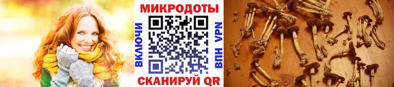 Галлюциногенные грибы MAGIC MUSHROOMS Кущёвская